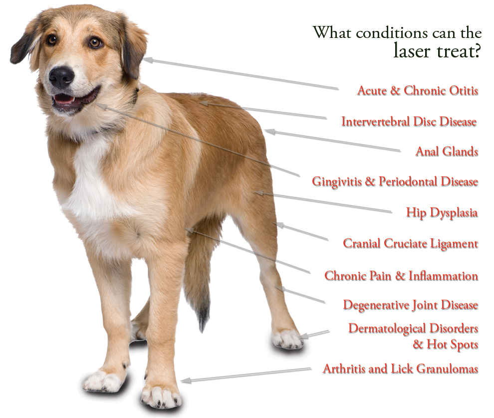 Laser Therapy treats chart